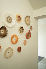 Load image into Gallery viewer, SOLD 60 Terra flowers on the wall
