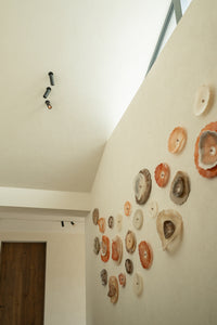 SOLD 60 Terra flowers on the wall