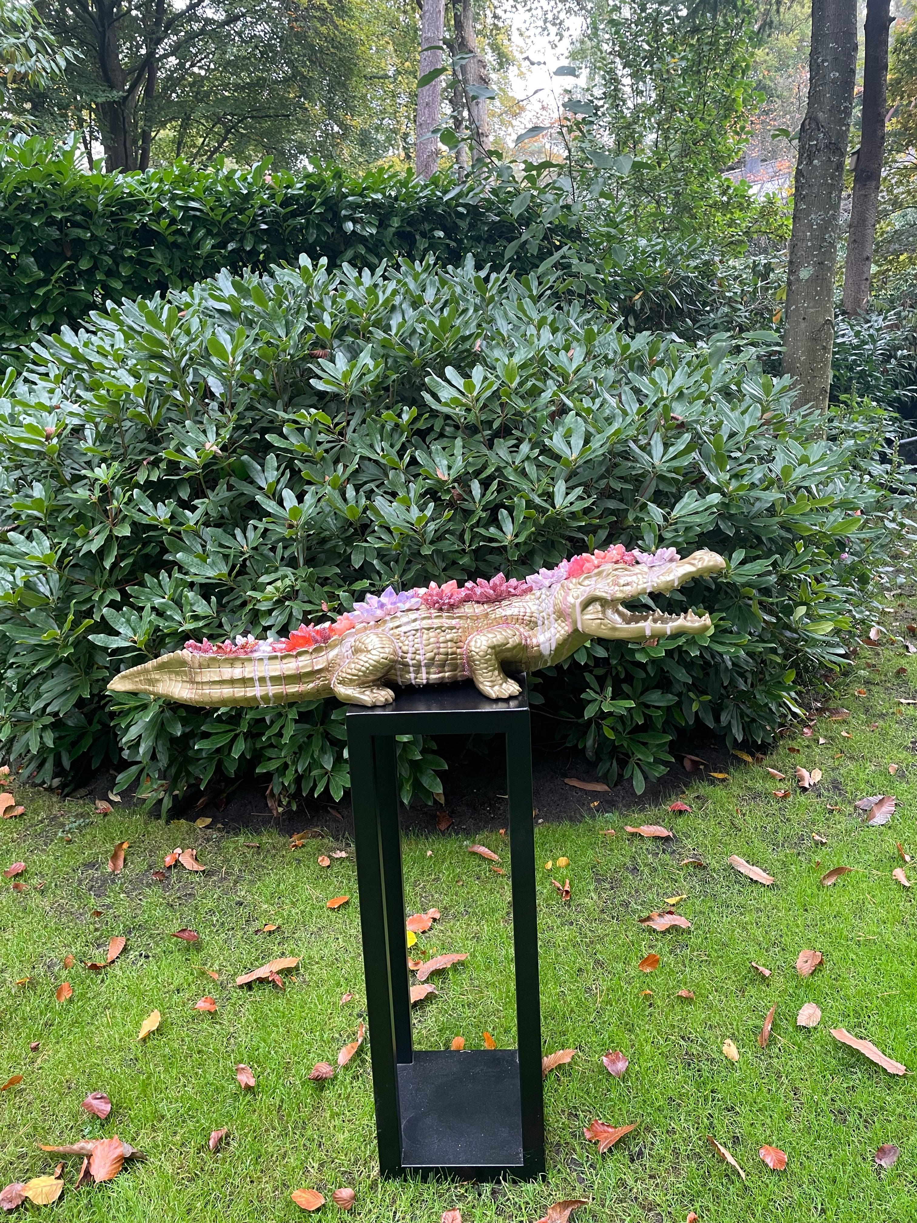 Crocodile gold