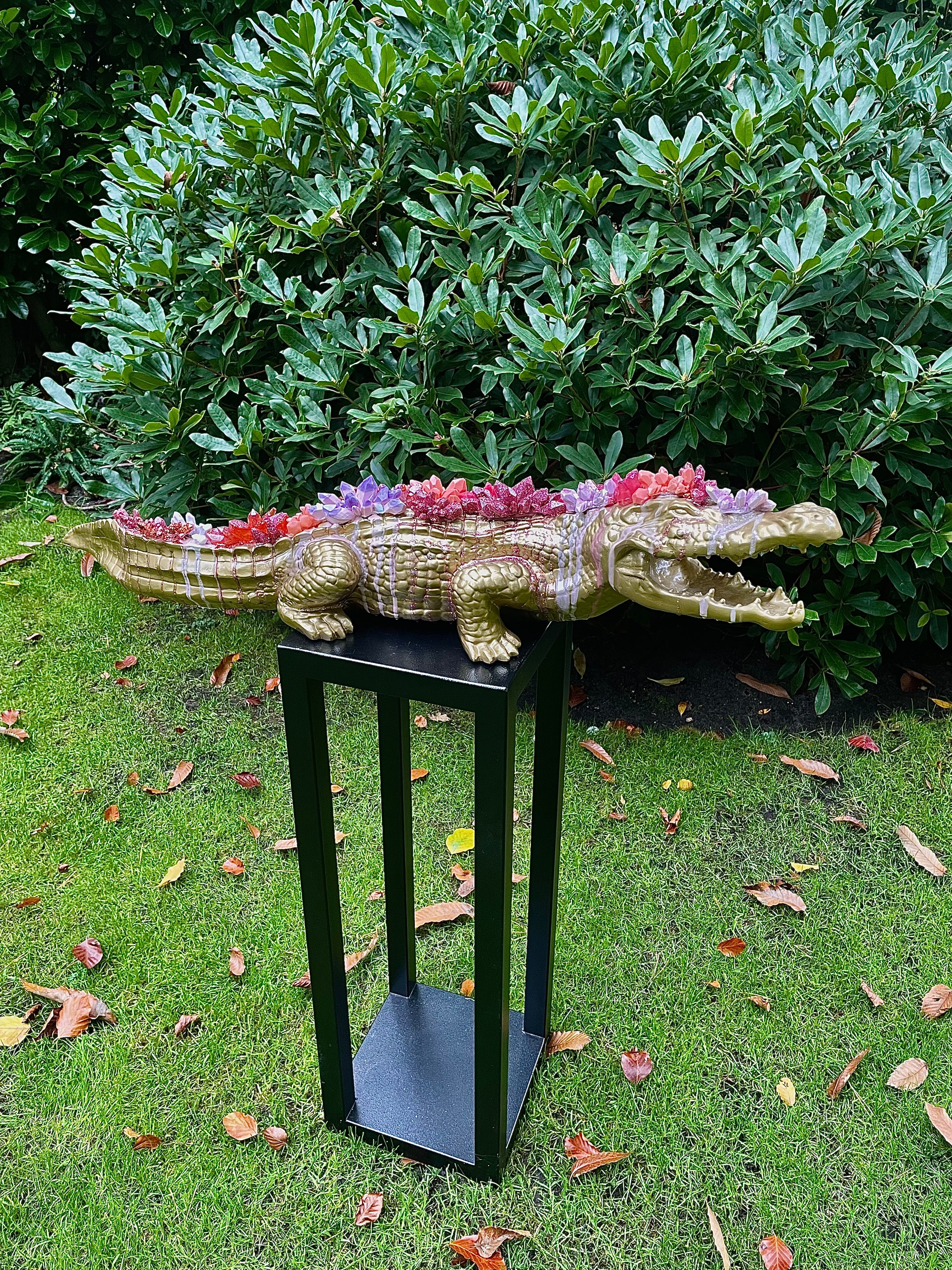 Crocodile gold