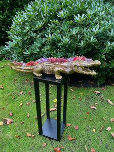 Crocodile gold